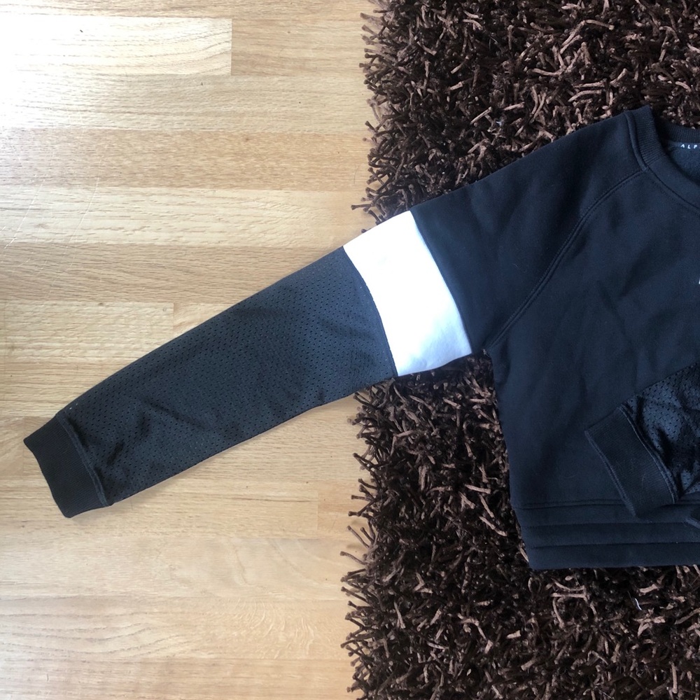 Alphalete Crop Hoodie - Picture 2 of 3